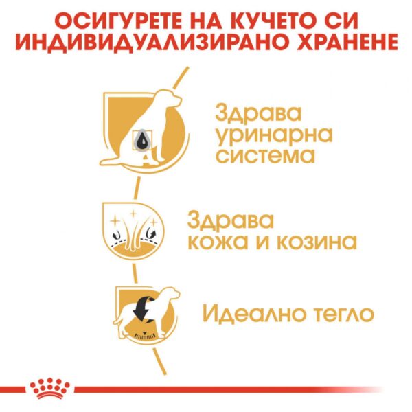 Royal Canin- BICHON FRISE ADULT храна за френски болонки 1,5кг