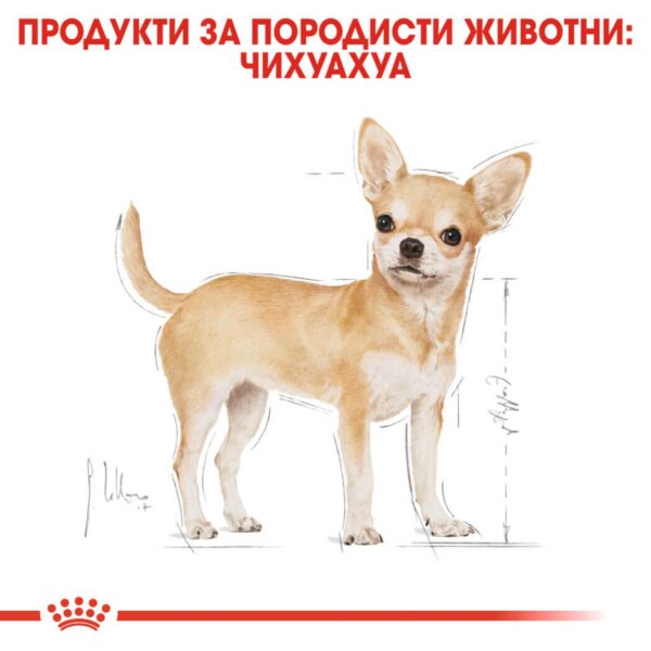 Royal Canin- CHIHUAHUA ADULT за Чухуахуа над 8 месеца 1.5кг