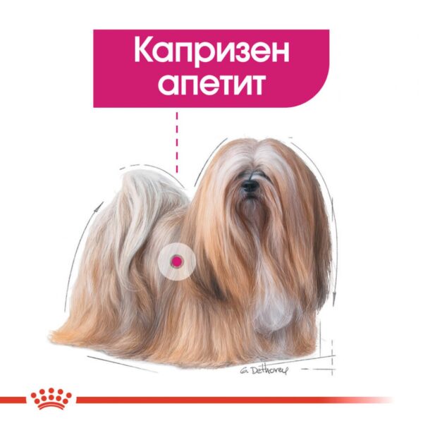 Royal Canin EXIGENT LOAF POUCH  За кучета с капризен апетит 85гр