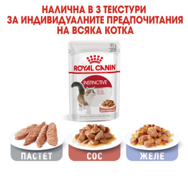 Royal Canin- INSTINCTIVE IN GRAVY pouch - паучове за идеално тегло 85гр