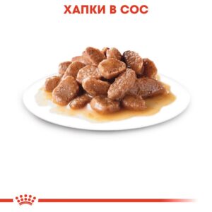 Royal Canin- INSTINCTIVE IN GRAVY pouch - паучове за идеално тегло 85гр