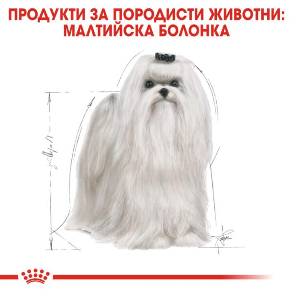 Royal Canin-  MALTESE ADULT храна за малтийски болонки 1,5кг