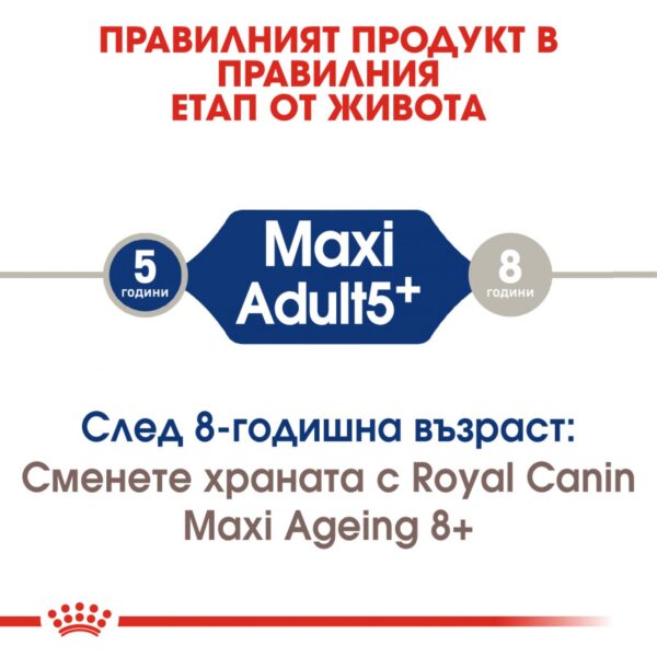 Royal Canin- MAXI ADULT 5+ за кучета от едрите породи над 5г 15кг