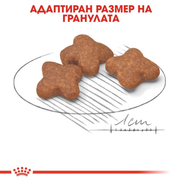 Royal Canin- MINI ADULT 8+ храна за кучета над 8г от дребите породи