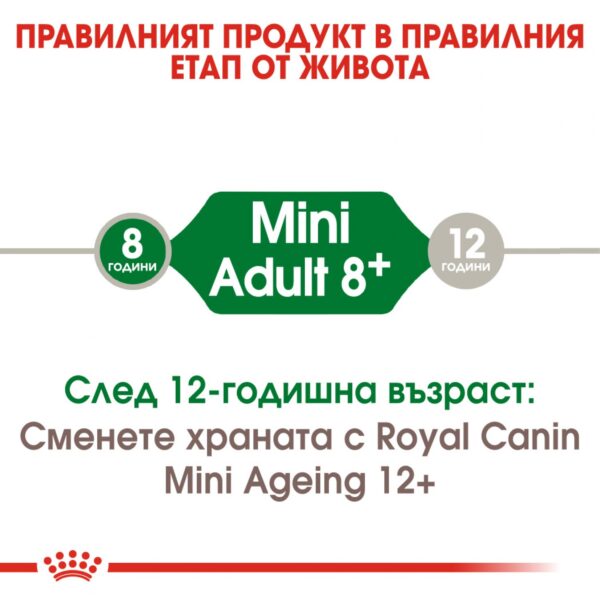 Royal Canin- MINI ADULT 8+ храна за кучета над 8г от дребите породи