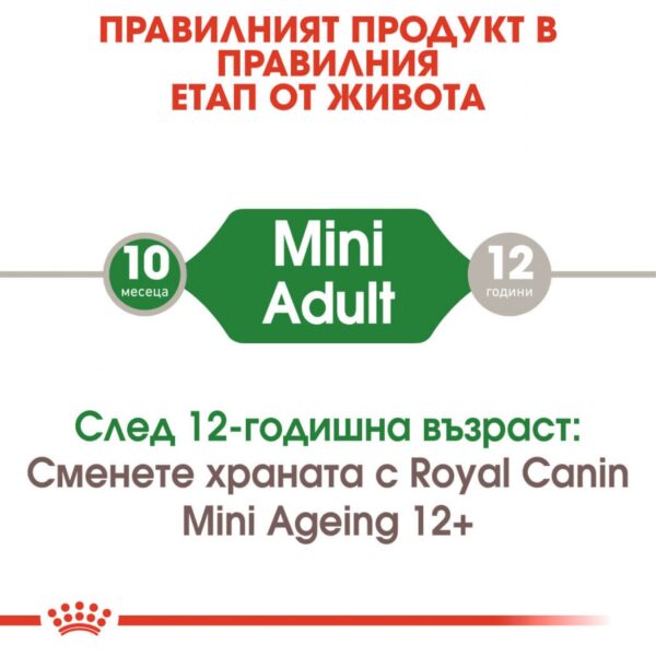 Royal Canin- Mini Adult Pouch за кучета в зряла възраст от дребните породи 85гр