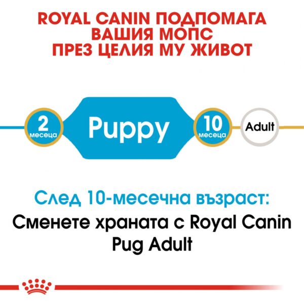 Royal Canin- PUG PUPPY суха храна за МОПС от 2 до 10 месеца 1.5кг