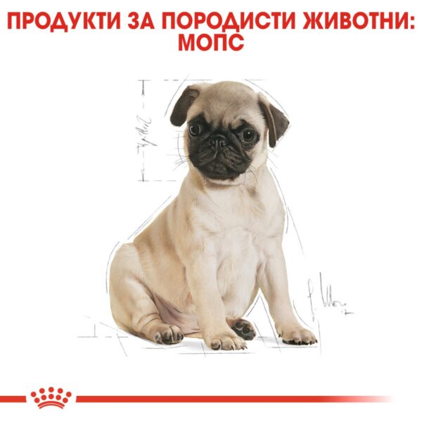 Royal Canin- PUG PUPPY суха храна за МОПС от 2 до 10 месеца 1.5кг