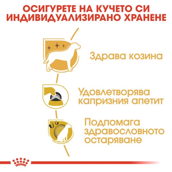 Royal Canin- YORKSHIRE ADULT за ЙОРКШИРСКИ териер