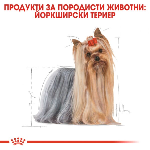 Royal Canin- YORKSHIRE ADULT за ЙОРКШИРСКИ териер