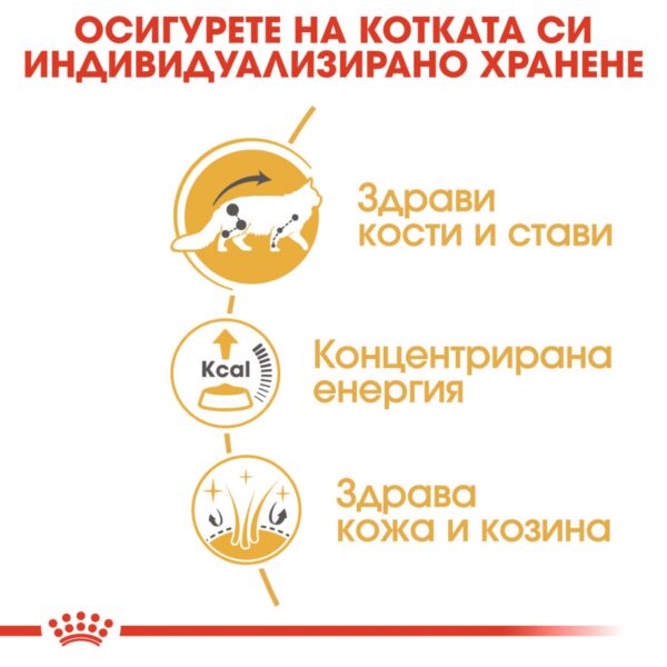 ROYAL CANIN Maine Coon pouch - Мейн Кун  пауч 85гр