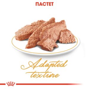 ROYAL CANIN PERSIAN POUCH - Пауч за Персийка