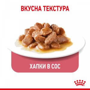 Royal Canin Light Weight Care - Пауч за котки с наднормено тегло 85гр