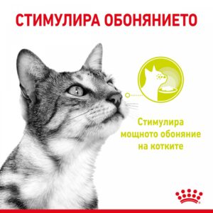 Royal Canin Sensory Taste Gravy - Пауч хапки в сос за котки в зряла възраст 85гр