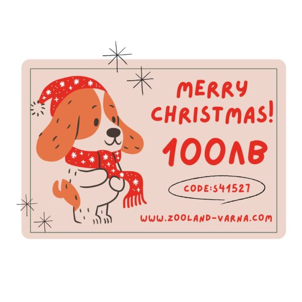 Christmas Gift Card - Коледен ваучер за подарък